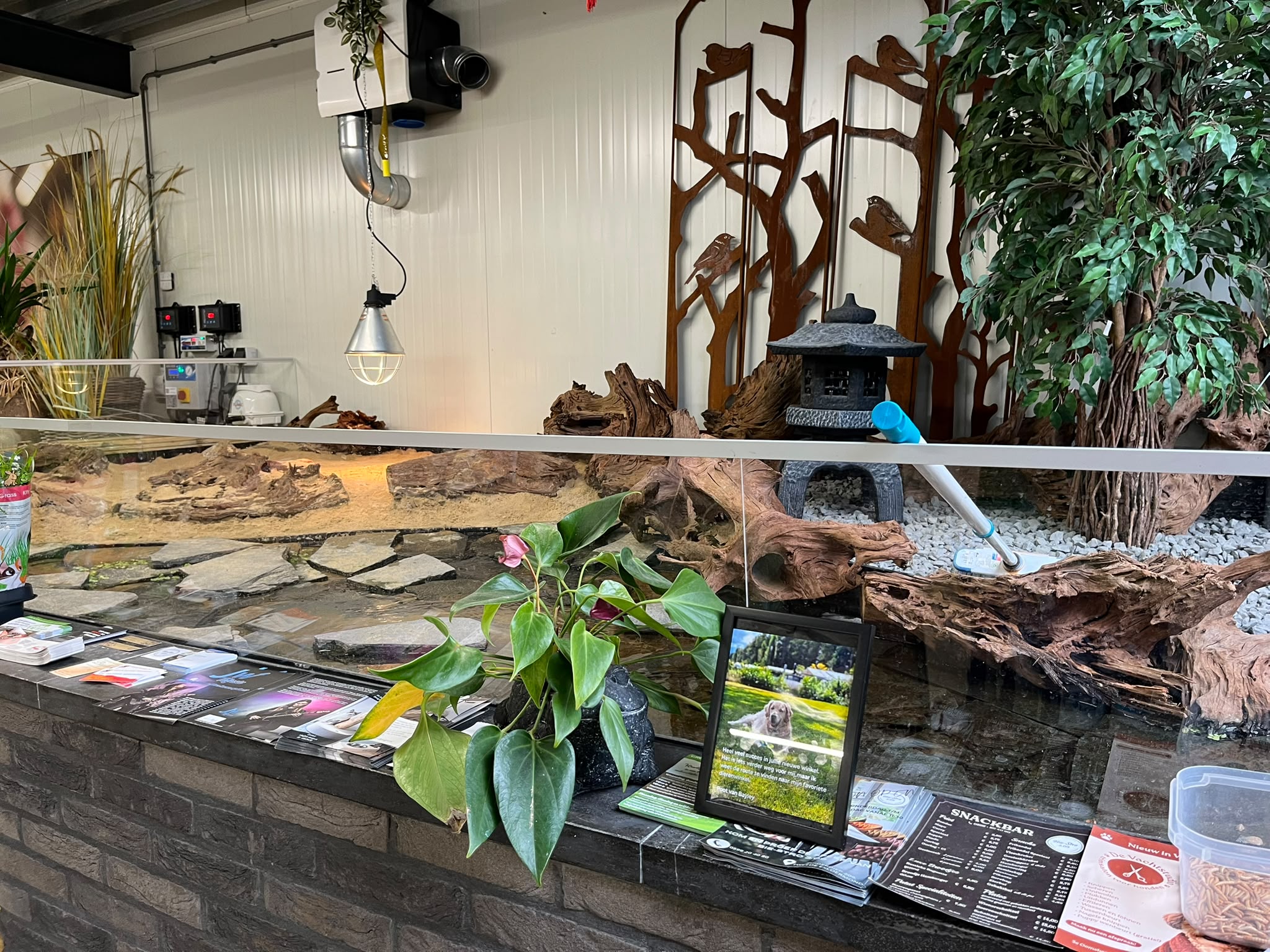 Vissen & Schildpadden